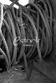 Black and white armature