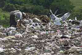 City dump