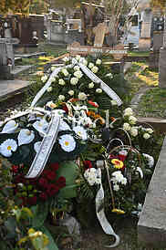 Branislav Jovanovic