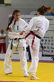 European competition in Kyokushin Karate