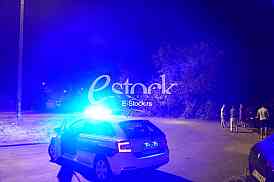 drvo topola izvalilo se