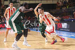 CRVENA ZVEZDA vs PANATHINAIKOS ATHENS