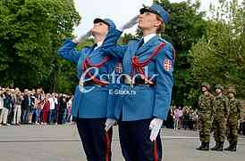 Serbian Army Day