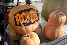 competition for the heaviest pumpkin, and for the most beautiful piece of pumpkin, market Zemun