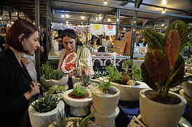Beogradski Nocni Market