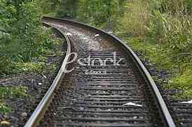 Railway track in a green forest