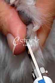 Grooming