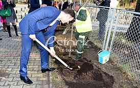 planting trees, military barracks 