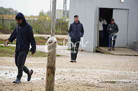 Migranti