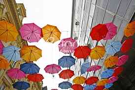 umbrellas in different colors 