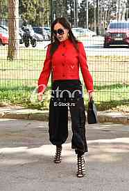 Svetlana Ceca Raznatovic