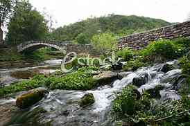 Mountain river flowing at summer forest landscape with stone bridge
