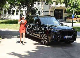 Svetlana Ceca Raznatovic