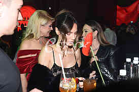 Danijela dimitrovska Suzana Mancic Jelena Tomasevic