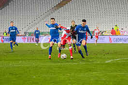 FUDBAL - 20. kolo Ling Long Super lige Srbije: Crvena zvezda - Radnik Surdulica