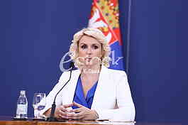 Darija Kisic Tepavcevic