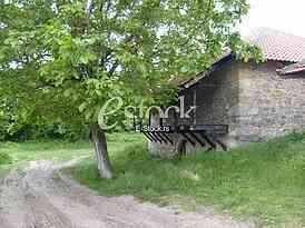 Village