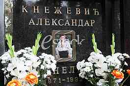 Aleksandar Knezevic Knele