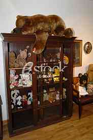Exhibition teddy bears toys