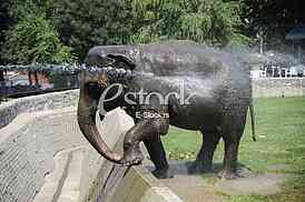 Belgrade zoo on summer day