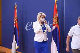 Darija Kisic Tepavcevic
