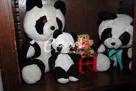 Exhibition teddy bears toys