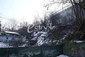 suicide attempt,