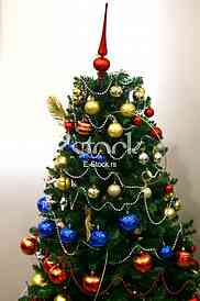 Christmas tree in a full length