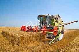 Agriculture