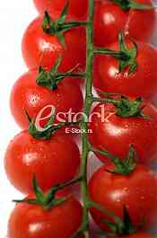 tomato