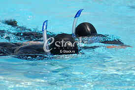 World Championship in freediving