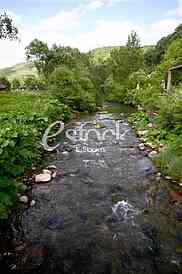 Mountain river flowing at summer forest landscape