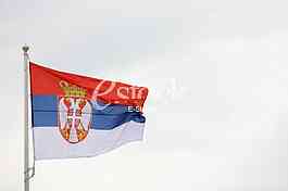 flag of Serbia in the wind, zastava srbije viori na vetru
