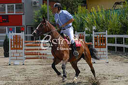 Equestrian Sport