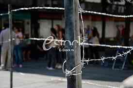 petition for the adoption of the Declaration on Genocide