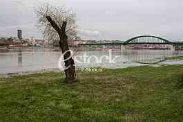 Flood
