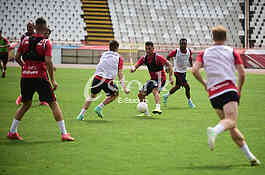 Crvena Zvezda