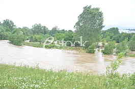 Cacak poplava