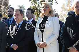 Dan primirja u Prvom svetskom ratu