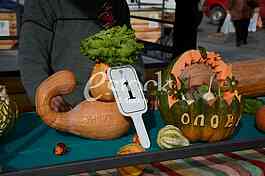 competition for the heaviest pumpkin, and for the most beautiful piece of pumpkin, market Zemun
