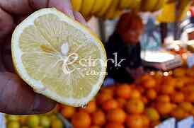 lemon,market,lemon