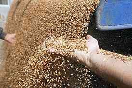 Agriculture