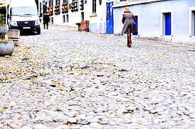 Skadarlija
