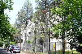 Clinical Hospital Center dr.Dragisa Misovic