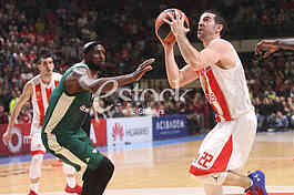 CRVENA ZVEZDA vs PANATHINAIKOS ATHENS