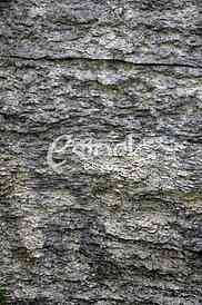 Seamless rock texture background closeup