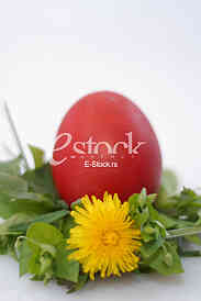 Dyeing of Easter egg