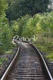 Railway track in a green forest