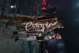 Goga Sekulic i Marko Matijevic Maus Maki