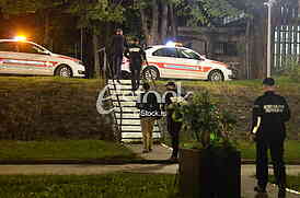Komunalna milicija